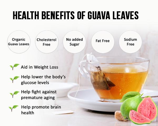 Guava Leaf Tea - Herbal Goodness | Black-Owned
