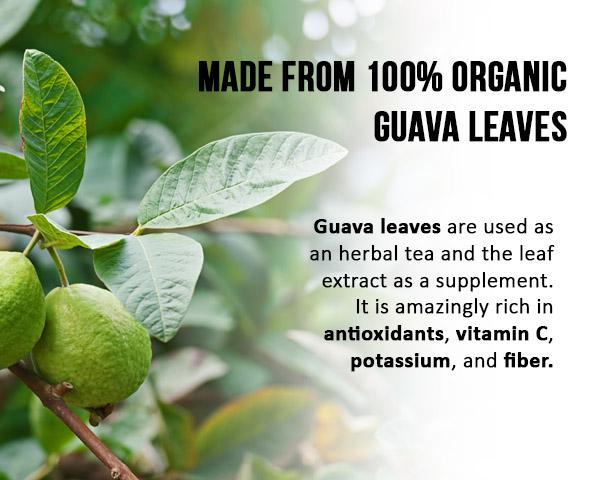 Guava Leaf Tea - Herbal Goodness | Black-Owned