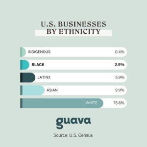 US business by ethnicity guava banking app stats us census