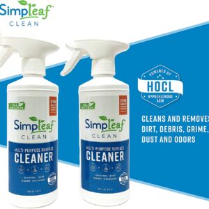 Multi-Purpose Surface Cleaner Black-Owned