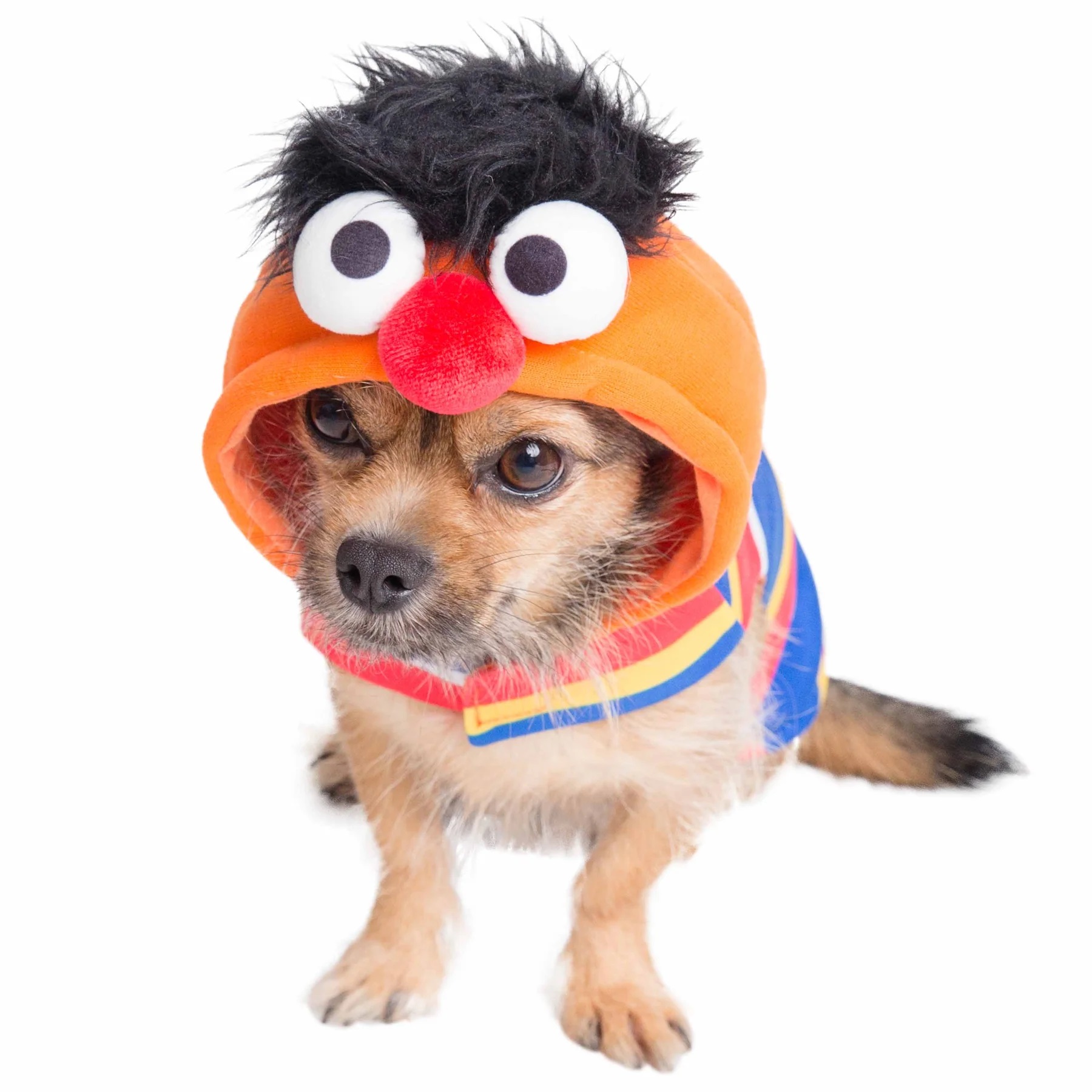 Sesame Street Ernie Dog Hoodie Black-Owned