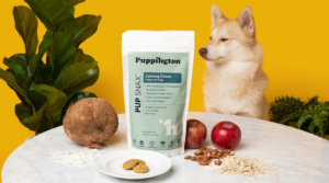puppington black-owned pet products