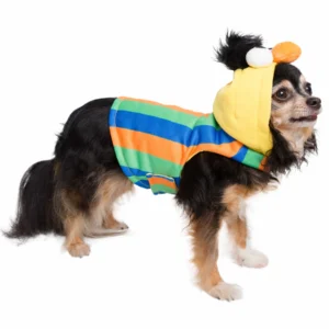 bert dog hoodie