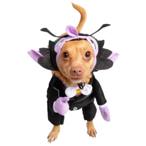 count dog costume