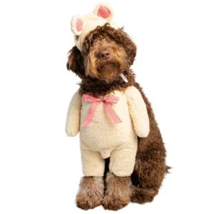 teddy bear dog costume