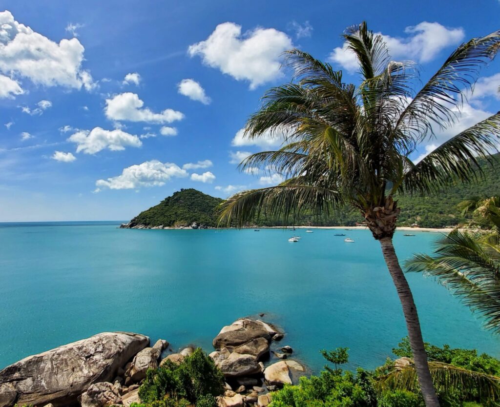 Passports & Palms Travel Co. black-owned business