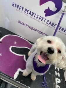 black-owned business Happy Hearts Pet Care Services