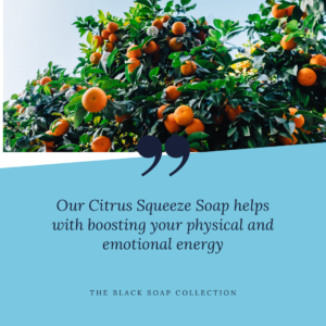 black-owned business The Black Soap Collection