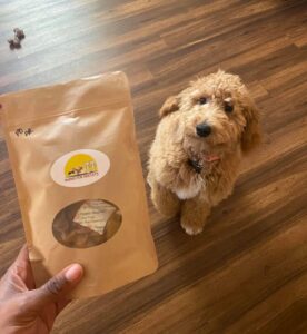 black-owned business Barks For Biscuits SC