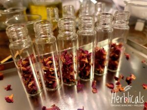 Herblicals Organic Skincare + Wellness black-owned businesses