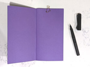 black-owned business Black Narcissus Press