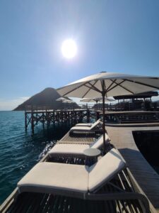 Passports & Palms Travel Co. black-owned business